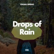 Drops Of Rain