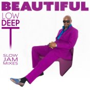 Beautiful Slow Jam Mixes