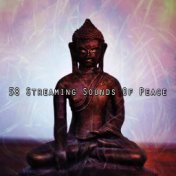 58 Streaming Sounds Of Peace