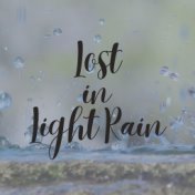 Lost in Light Rain