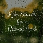Rain Sounds for a Relaxed Mind