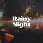 Rainy Night