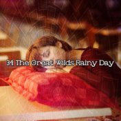 34 The Great Wilds Rainy Day