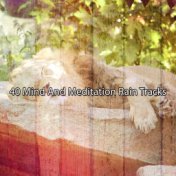 40 Mind And Meditation Rain Tracks