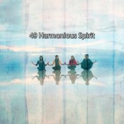 49 Harmonious Spirit