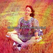 40 Auras For A Soothed Mind