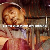 31 In The Wilds Storms With Meditation