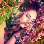 55 A Dreams Origins