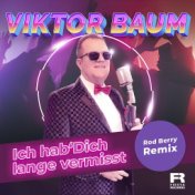 Ich hab' Dich lange vermisst (Rod Berry Remix)