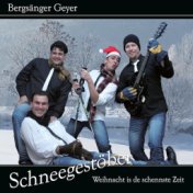 Schneegestöber (Weihnacht is de schennste Zeit)