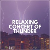 Relaxing Concert of Thunder