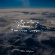 50 Recopilación Definitiva de Primavera Tranquilo