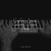 Comforting Serenity Collection | Focused Study