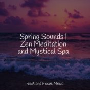 Spring Sounds | Zen Meditation and Mystical Spa