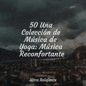 50 Una Colección de Música de Yoga: Música Reconfortante