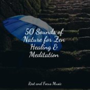 50 Sounds of Nature for Zen Healing & Meditation