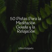 50 Pistas Para la Meditación Guiada y la Relajación