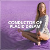 Conductor of Placid Dream