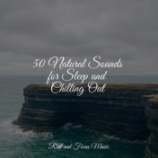 50 Natural Sounds for Sleep and Chilling Out