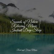 Sounds of Nature | Relaxing Music | Instant Deep Sleep