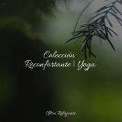 Colección Reconfortante | Yoga