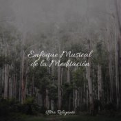 Enfoque Musical de la Meditación