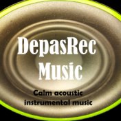 Calm acoustic instrumental music