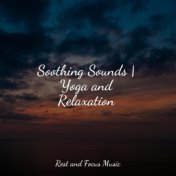 Soothing Sounds | Yoga and Relaxation