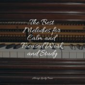 The Best Melodies for Calm and Focused Work and Study