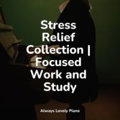 Stress Relief Collection | Focused Work and Study