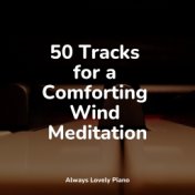 50 Tracks for a Comforting Wind Meditation