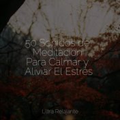 50 Sonidos de Meditación Para Calmar y Aliviar El Estrés