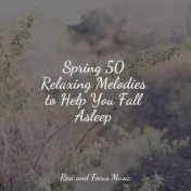 Spring 50 Relaxing Melodies to Help You Fall Asleep
