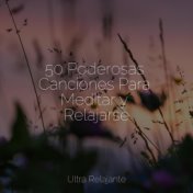 50 Poderosas Canciones Para Meditar y Relajarse