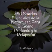 #50 Sonidos Esenciales de la Naturaleza Para El Sueño Profundo y la Relajación