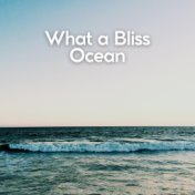 What a Bliss Ocean