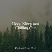 Deep Sleep and Chilling Out