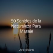 50 Sonidos de la Naturaleza Para Masaje