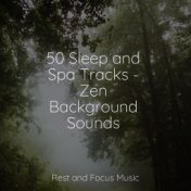 50 Sleep and Spa Tracks - Zen Background Sounds