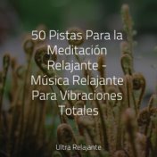 50 Pistas Para la Meditación Relajante - Música Relajante Para Vibraciones Totales