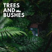 Trees and Bushes