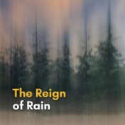 The Reign of Rain