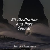 50 Meditation and Pure Sounds