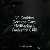 50 Sonidos Serenos Para Meditación y Ambiente Chill