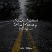 Sonidos Chillout Para Dormir y Relajarse