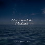 Sleep Sounds for Meditation