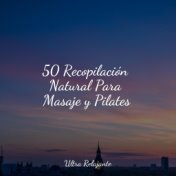 50 Recopilación Natural Para Masaje y Pilates