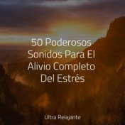 50 Poderosos Sonidos Para El Alivio Completo Del Estrés