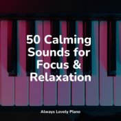 50 Calming Sounds for Focus & Relaxation