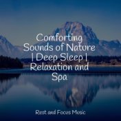 Comforting Sounds of Nature | Deep Sleep | Relaxation and Spa